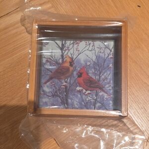 4 Cardinal Bird Costers in Wooden Box with Lid Closure